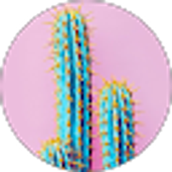 Profile photo of Paola Zavala