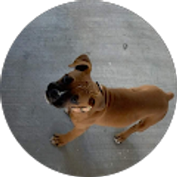 Profile photo of Julissa Sanchez