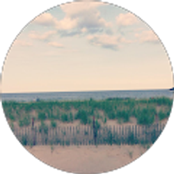 Profile photo of Francesca Reto