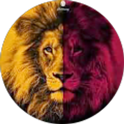 Profile photo of murat yüksel