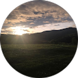 Profile photo of D Collett