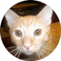 Profile photo of Lindsey Hooper