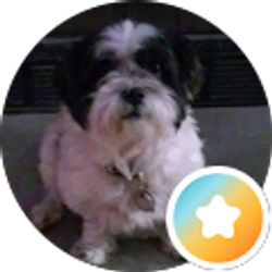 Profile photo of Shawntel T