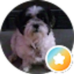Profile photo of Shawntel T