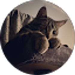 Profile photo of Bam R