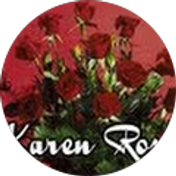 Profile photo of KarenRose01