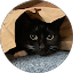 Profile photo of Shannon PG