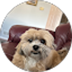 Profile photo of Dan Ogneru