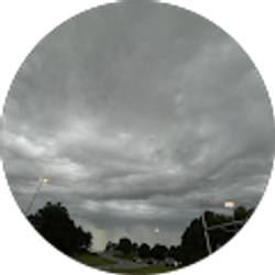 Profile photo of SANNY