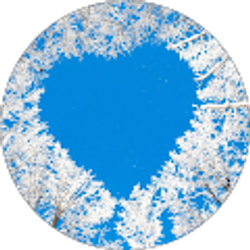 Profile photo of ZK Chi (K)