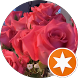 Profile photo of Ash H