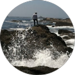 Profile photo of Stephen Phipps