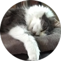 Profile photo of momofdiego