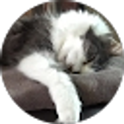 Profile photo of momofdiego