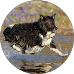 Profile photo of mctoaster2000