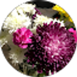 Profile photo of Patricia Portillo