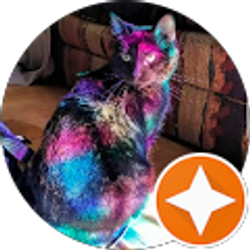 Profile photo of vinous_tomato