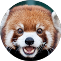 Profile photo of Samuel Frick