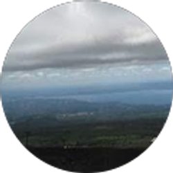 Profile photo of F POSTELL