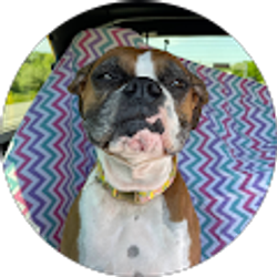 Profile photo of Lilly Bianco