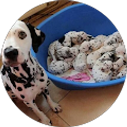 Profile photo of Barbara Bishop