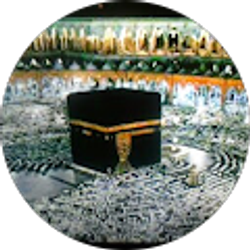 Profile photo of Robina Rashid