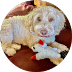 Profile photo of nancy yost