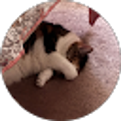 Profile photo of Madeline Tromans