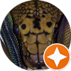 Profile photo of scott Goveia reptiles