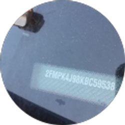 Profile photo of Bailey Harless