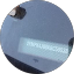 Profile photo of Bailey Harless