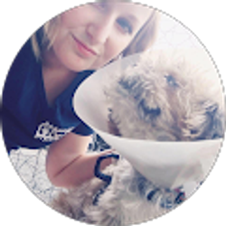 Profile photo of Ambria Contessa