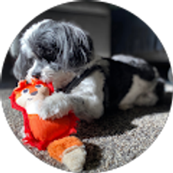 Profile photo of Natalie M