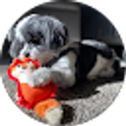 Profile photo of Natalie M