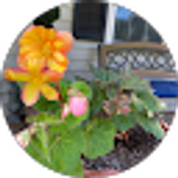 Profile photo of Pamela