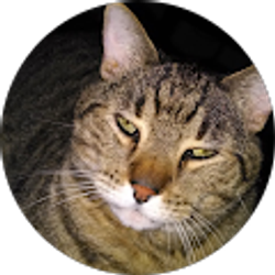 Profile photo of rodger mckinnon