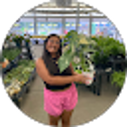 Profile photo of mia romero