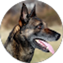 Profile photo of Johnnie Walter