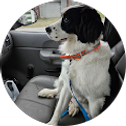 Profile photo of dana crawford