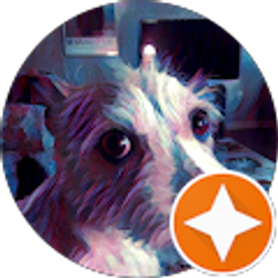 Profile photo of William Yater