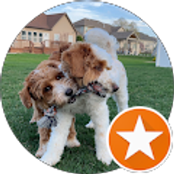 Profile photo of Michael Curiel