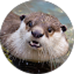 Profile photo of Max Johnson