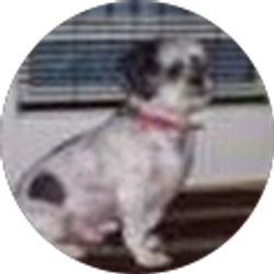 Profile photo of Eddie Lynch