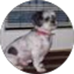 Profile photo of Eddie Lynch