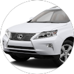 Profile photo of loi ho