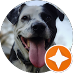 Profile photo of Brian Appel