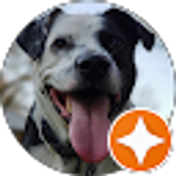 Profile photo of Brian Appel