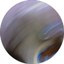 Profile photo of Rose Lane