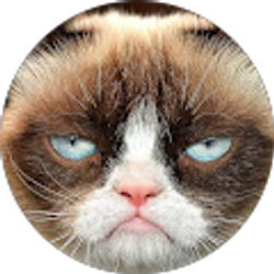 Profile photo of forsynthil s