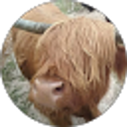 Profile photo of Dave Nace